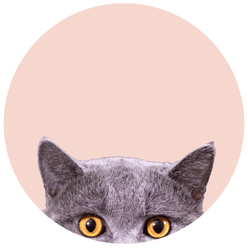 Sierra Pet Products - We love pets