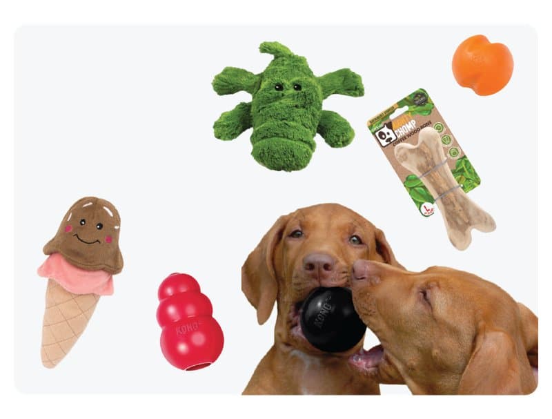 Dog Toys