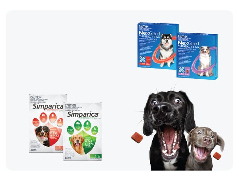 Flea & Tick Treatments